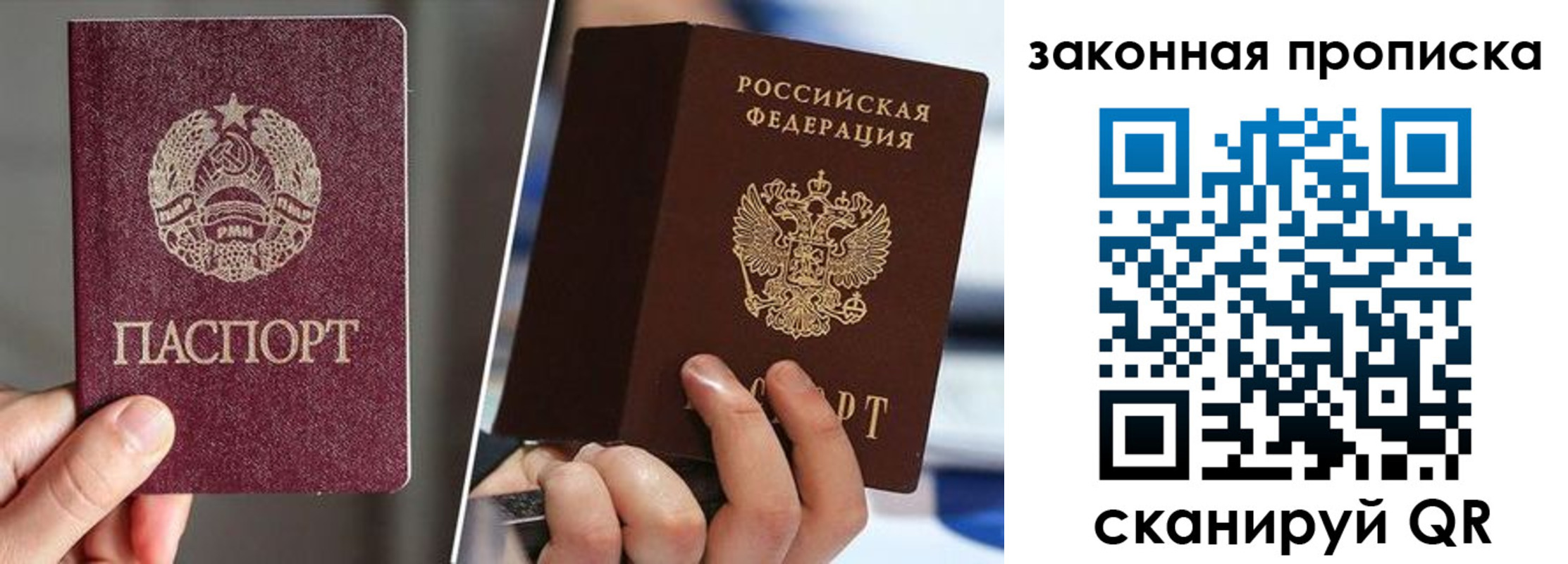 прописка поиск в Луге